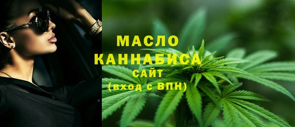 сатива Бородино