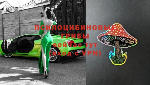 сатива Бородино