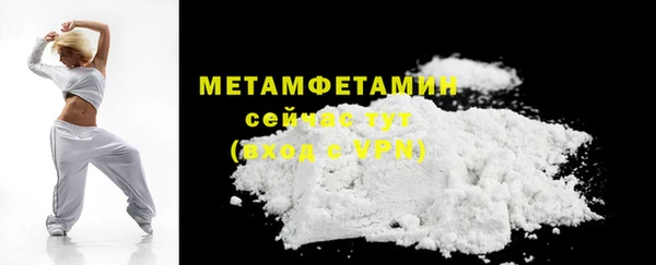 индика Семилуки
