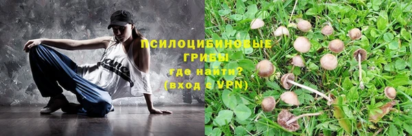 сатива Бородино