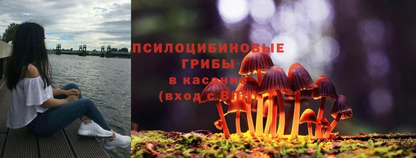 сатива Бородино
